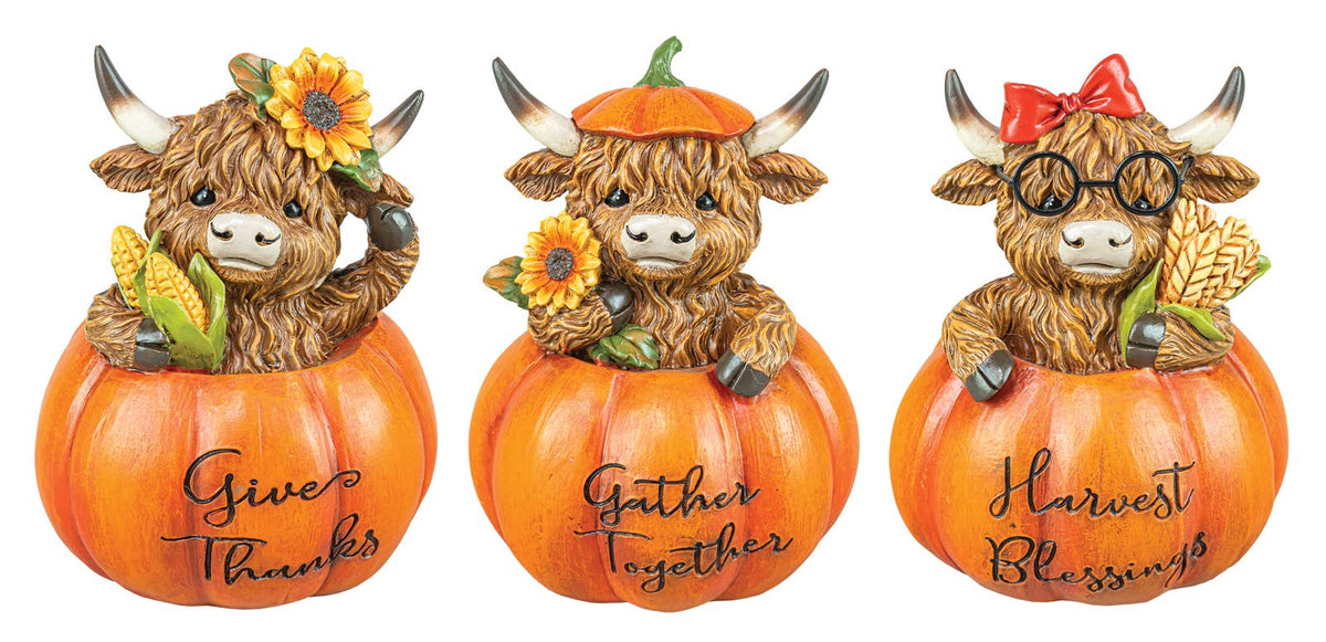 HIGHLAND COW IN PUMPKIN 3 AST