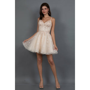 Short Corset Dress With Floral Embroidery