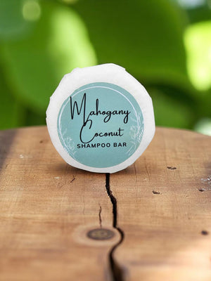 Shampoo Bars
