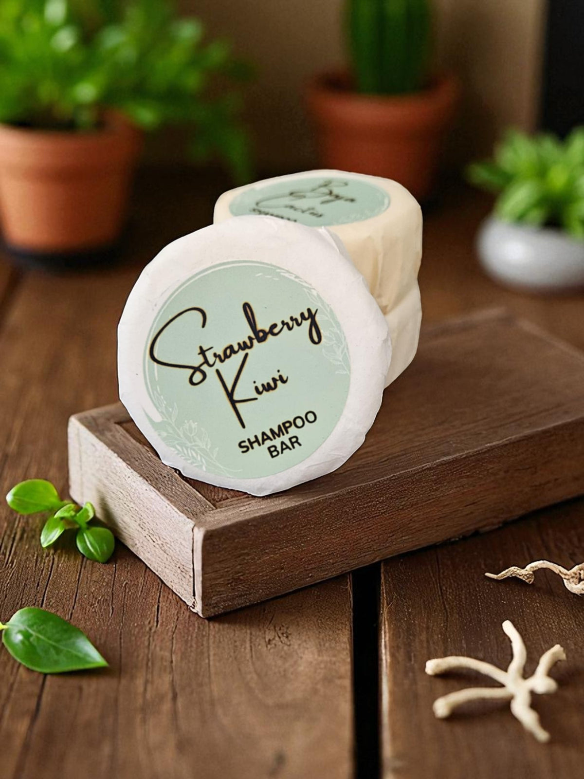 Shampoo Bars